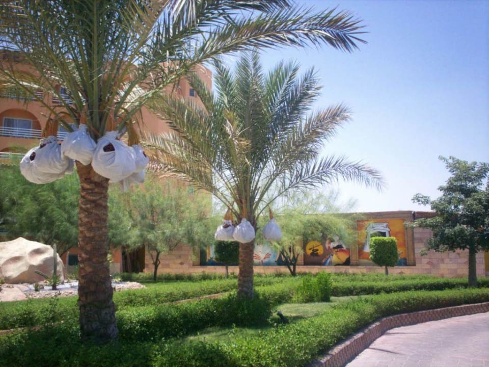 Das Theater Golden Beach Resort