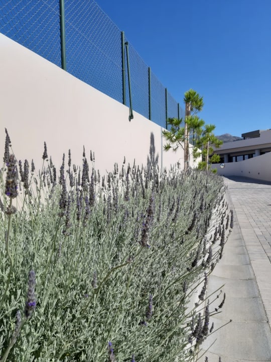 Sonstiges ROBINSON IERAPETRA