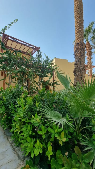 Gartenanlage Steigenberger Coraya Beach - Adults only