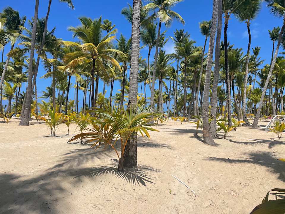 Strand Hotel Riu Palace Macao - Adults only