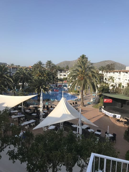 Pool Alcudia Garden Aparthotel