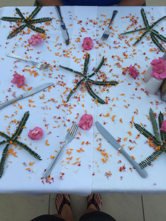 Super schöner gedeckter Tisch Hotel Orfeus Park