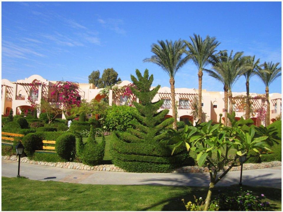 Mit viel Liebe gemacht Jaz Makadi Oasis Resort