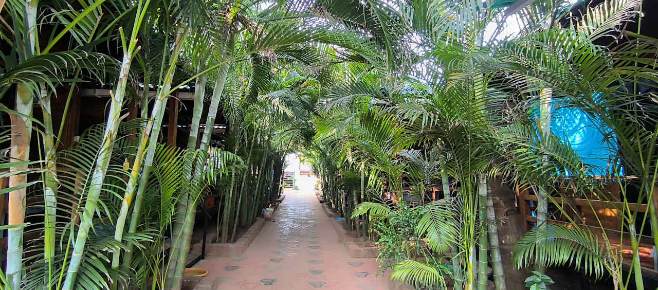 Gartenanlage Agonda Sunset Beach Resort