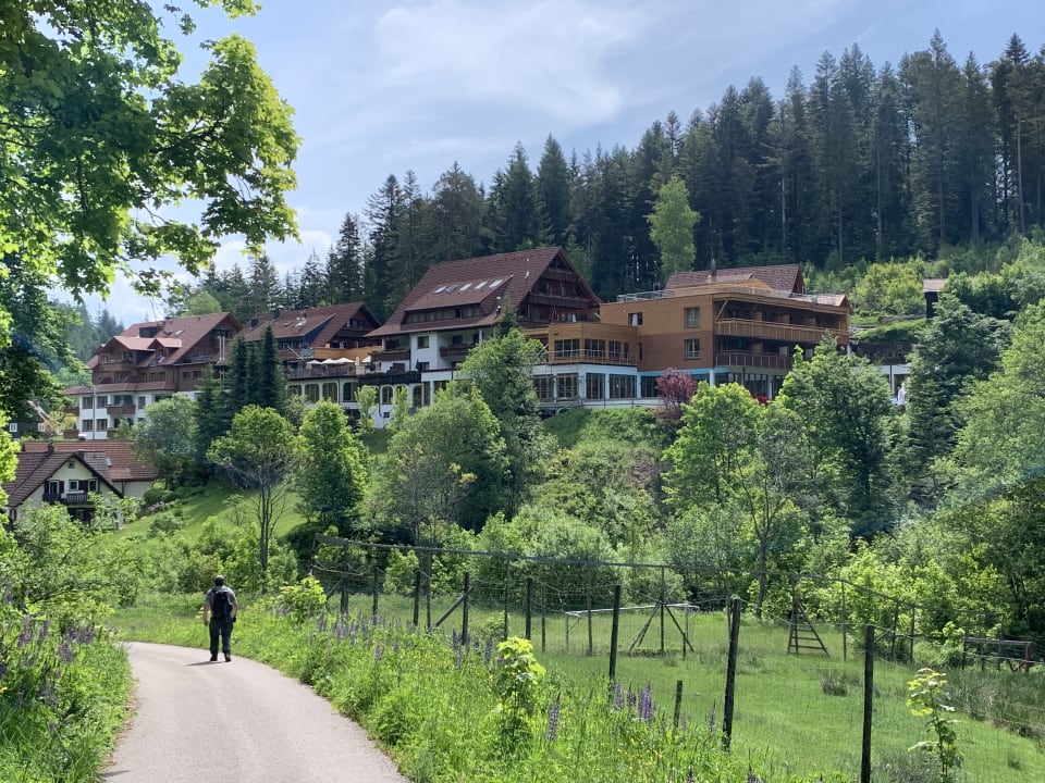 Ausblick Wellnesshotel Forsthaus Auerhahn