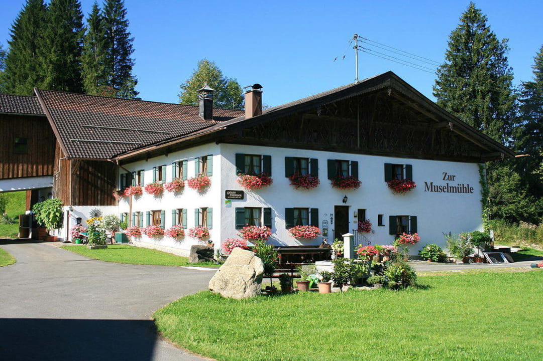 Ferienhof zur Muselmühle Ferienhof Zur Muselmühle