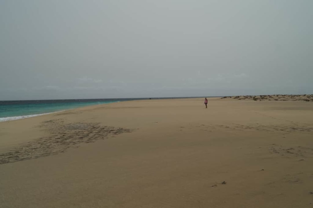 Spacer Oasis Salinas Sea