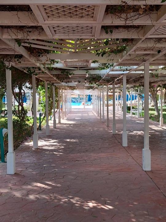 Ausblick Desert Rose