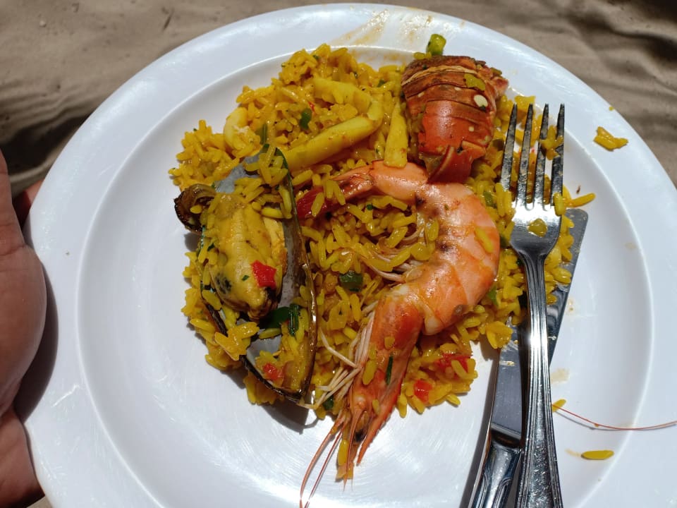 Gastro Catalonia Royal La Romana - Adults only