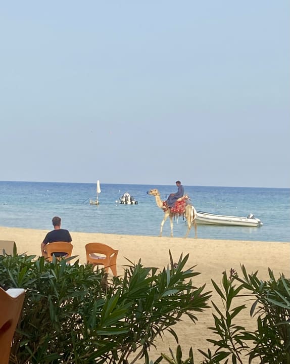 Ausblick Brayka Bay Resort