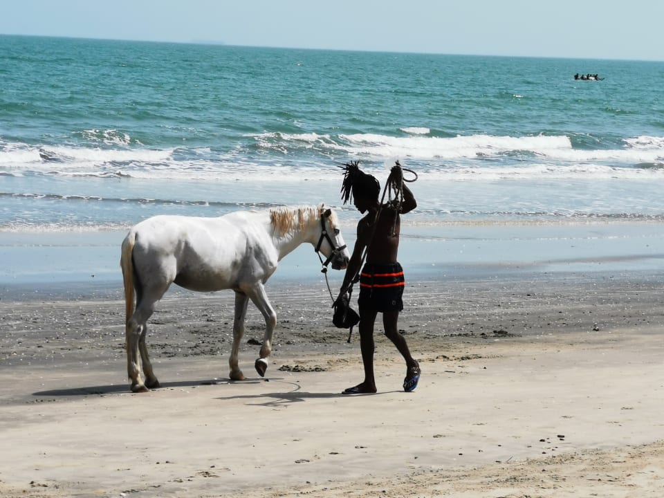 Strand TUI BLUE Tamala