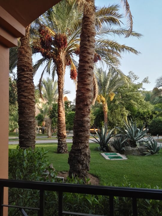 Gartenanlage Jaz Makadi Oasis Resort