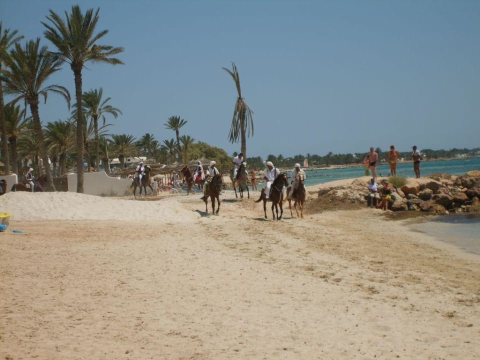 Algen Djerba Castille