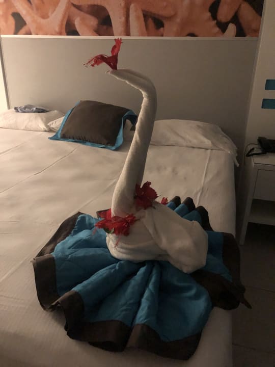 Zimmer Hotel Riu Republica - Adults only