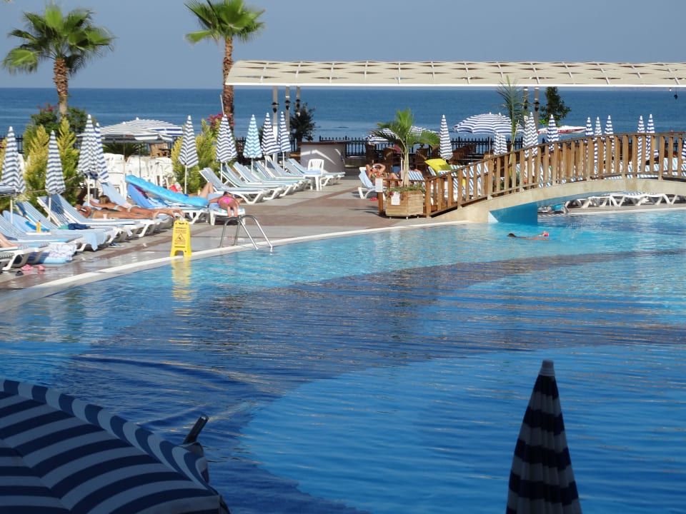 Am Pool Lonicera Resort & Spa Hotel