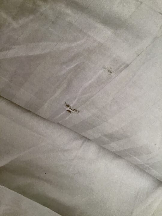 Zimmer Best Western Ahorn Hotel Oberwiesenthal - Adults only