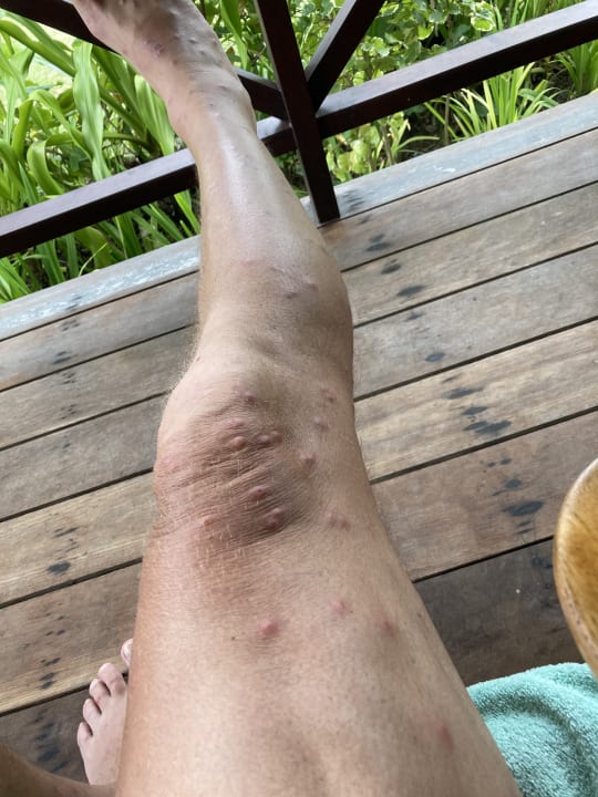 Sonstiges Paradise Sun