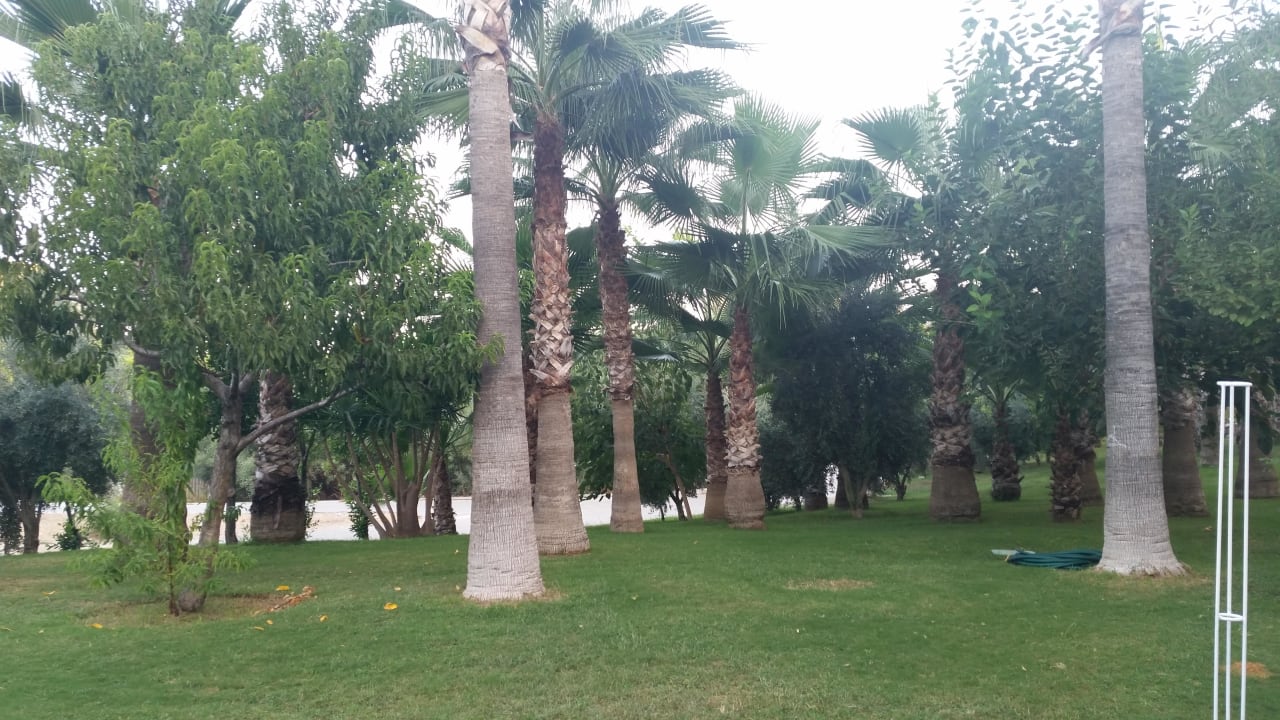 Gepflegter Garten  Hotel Grand Side