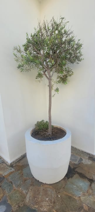 Außenansicht Kefalos Beach Holiday Village