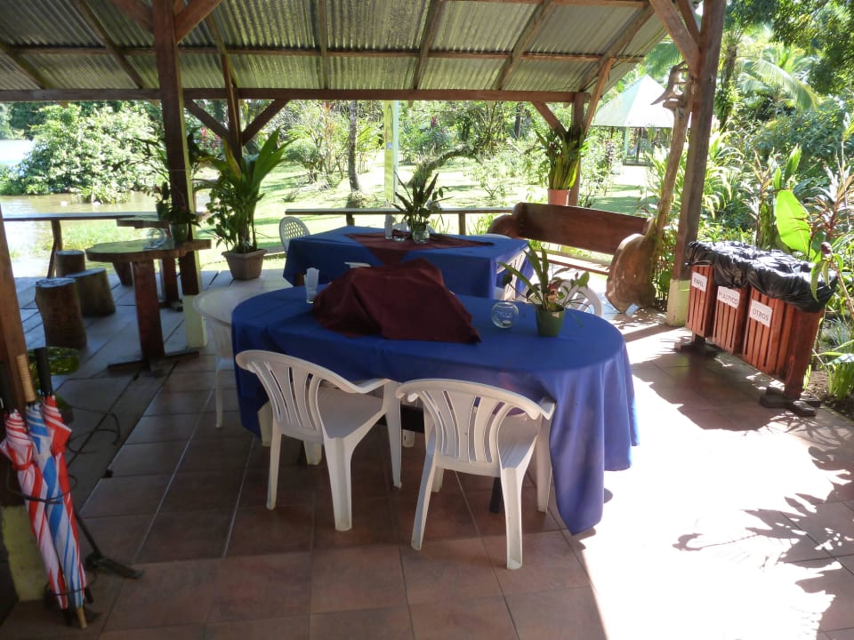 Eingang und Bar                                    Caribbean Paradise Eco-Lodge