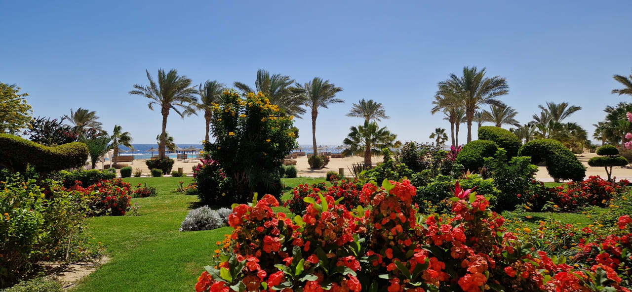 Gartenanlage Wadi Lahmy Azur Resort