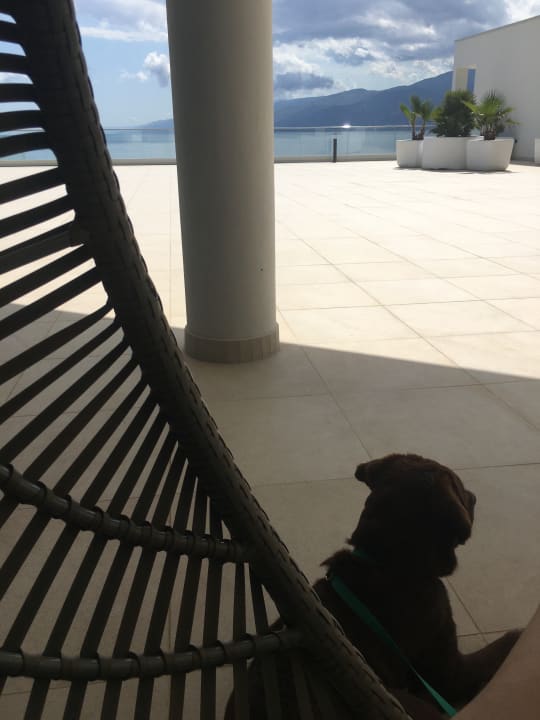 Gartenanlage Hilton Rijeka Costabella Beach Resort And Spa