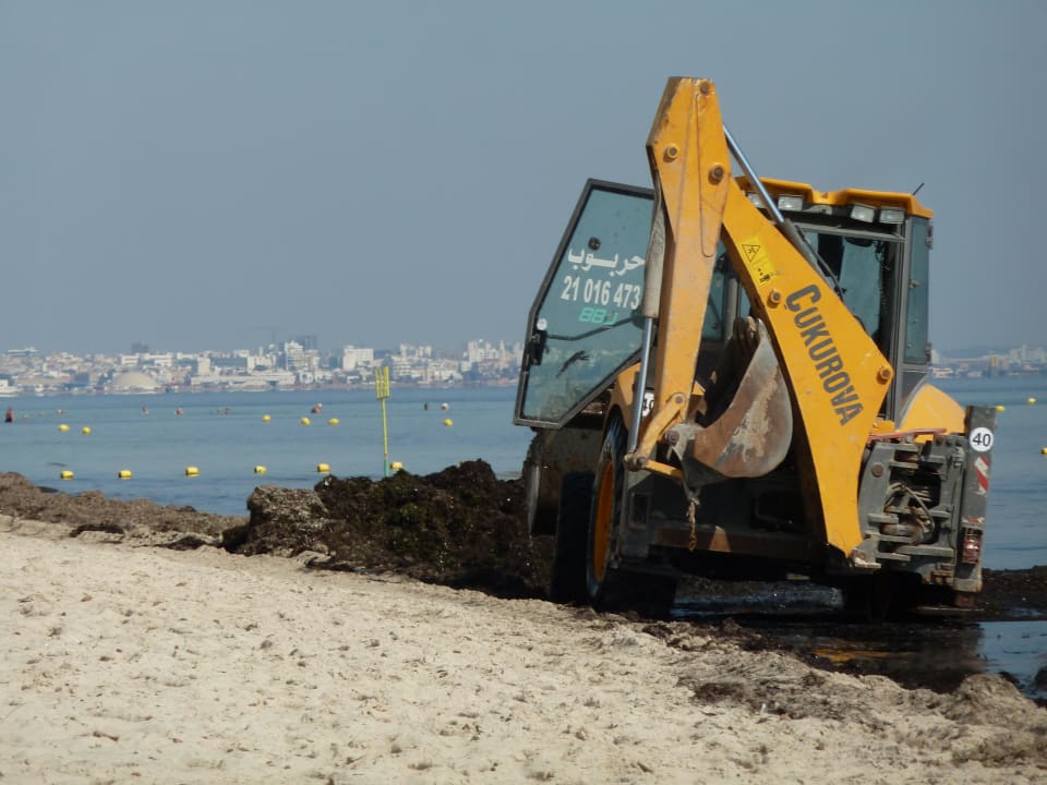 Schweres Gerät für das Seegras Monarque Club Rivage