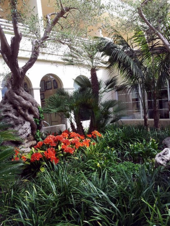 Schöne Gartengestaltung VIVA Golf - Adults only 18+