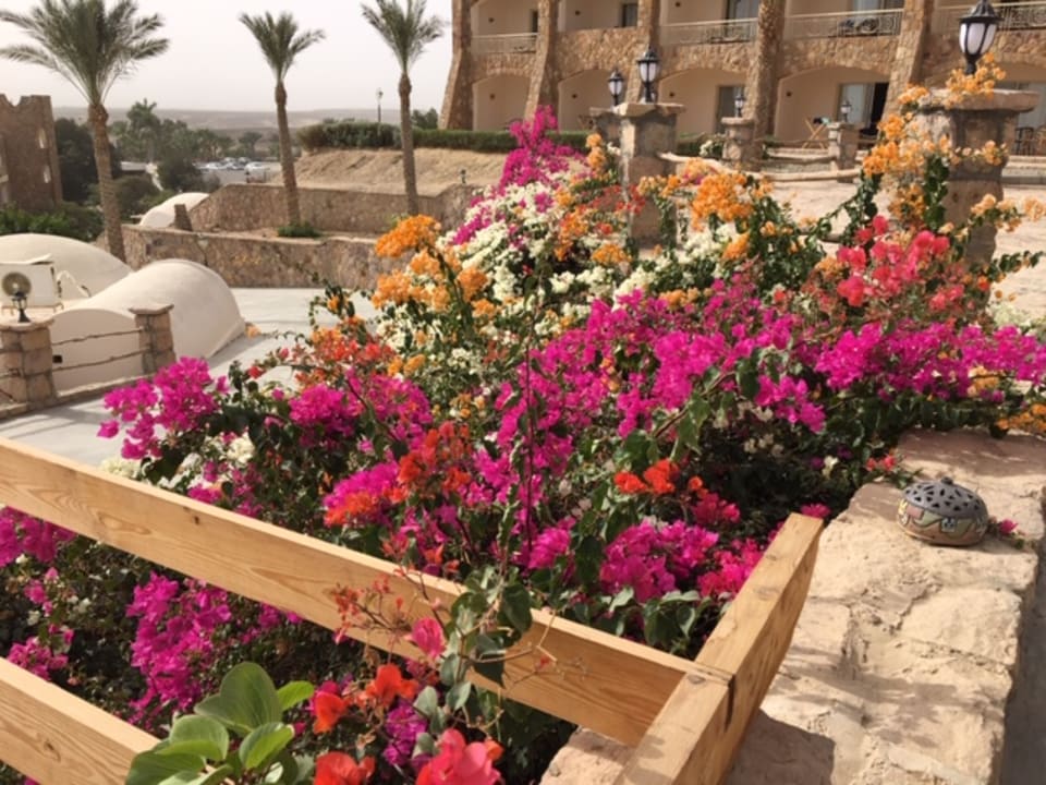 Gartenanlage Brayka Bay Resort