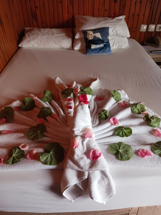 Zimmer Clover Magic Nova Beach