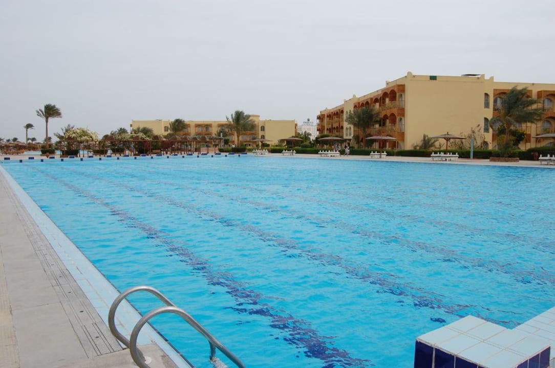 Basen olimpijski Desert Rose