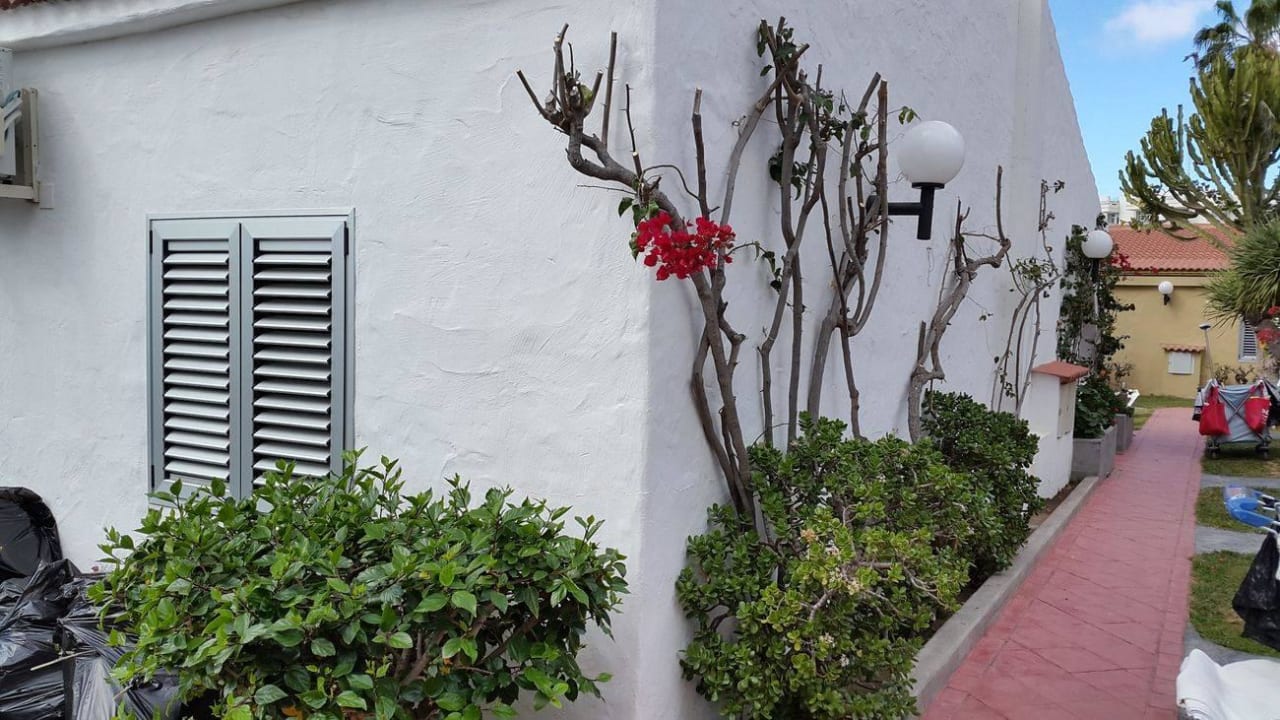 Giebelwand Bungalow 163 HL Miraflor Suites Hotel