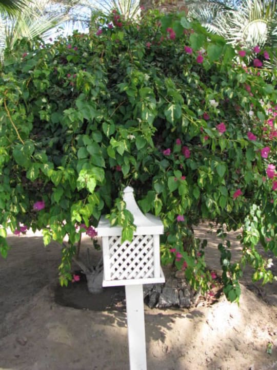 Lautsprecher mit dezenter Musik, Dezember 2013 Brayka Bay Resort