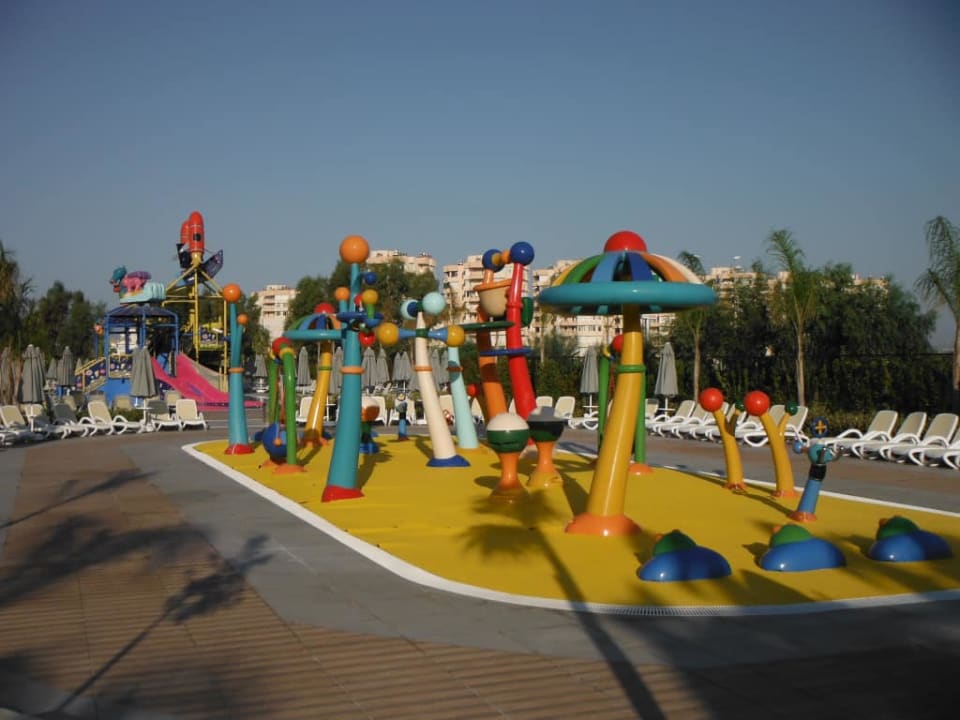 Royal Seginus Royal Seginus