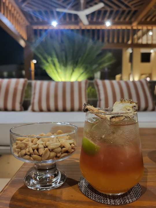 Gastro JAZ Elite Asteria