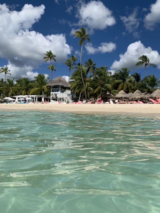 Strand Catalonia Royal La Romana - Adults only