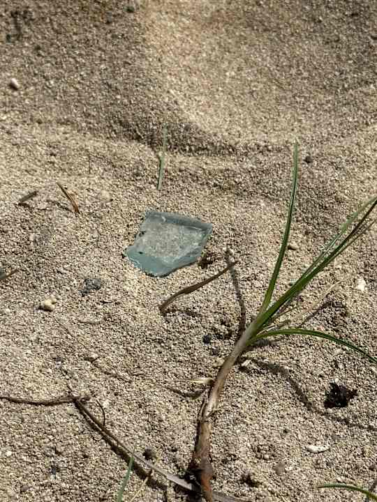 Strand Hotel Riu Turquoise