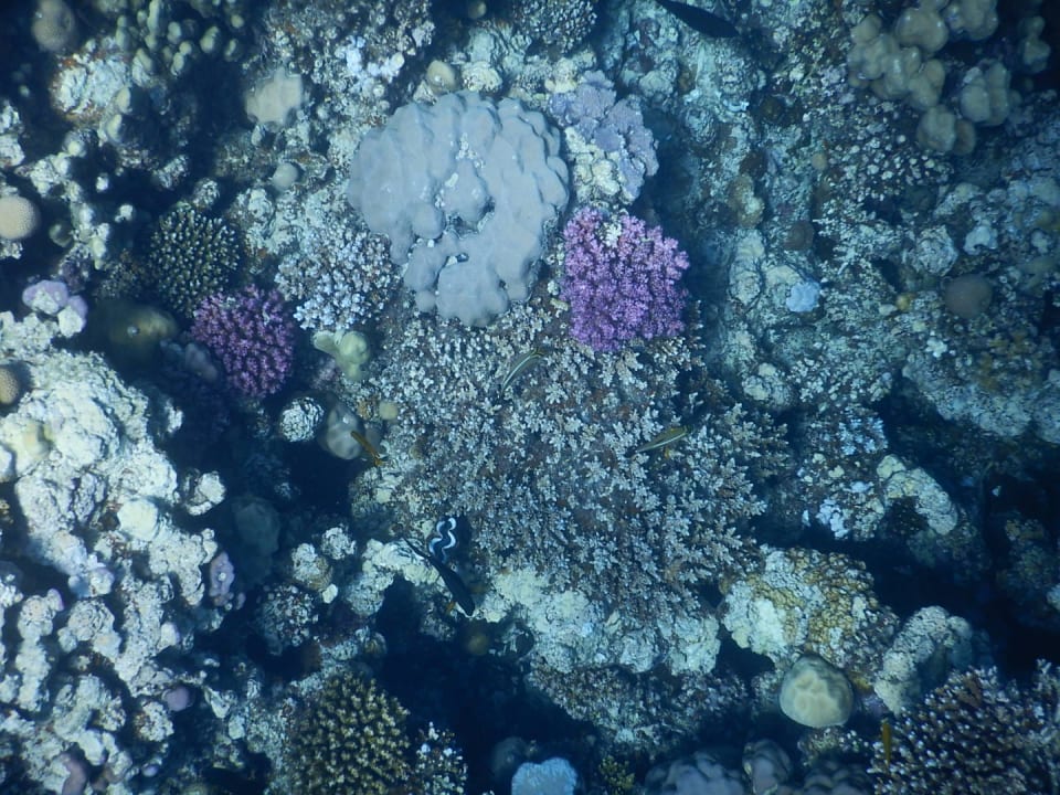 Sport & Freizeit Grand Waterworld Makadi & Family Star Makadi