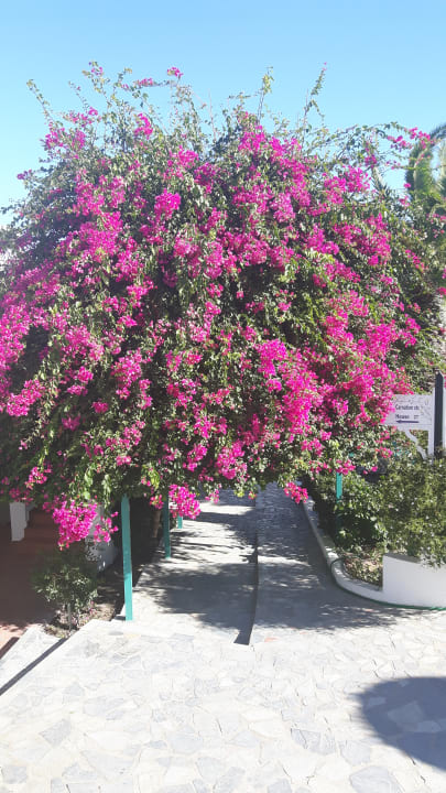 Gartenanlage Mastichari Bay Hotel