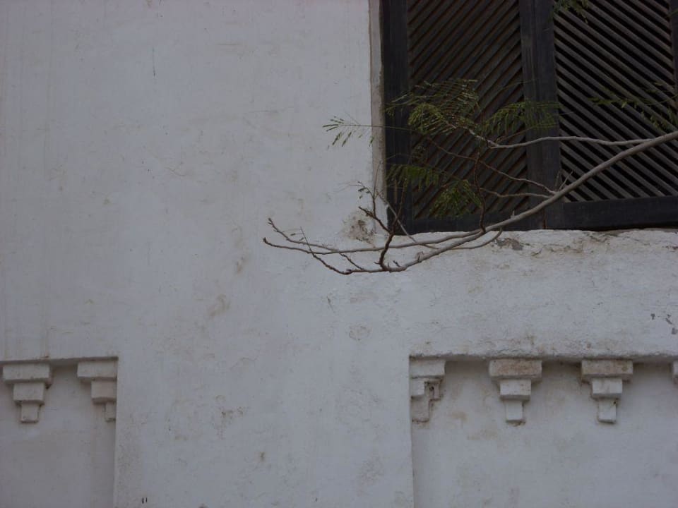 Teil einer Außenanlage Arabella Azur Resort