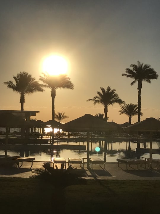 Pool Beach Albatros Resort
