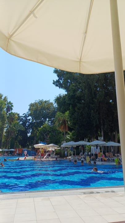 Pool Hotel Botanik Platinum