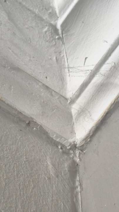 Zimmer allsun App.-Hotel Albatros