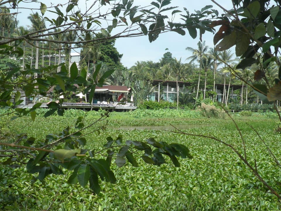 Ansicht mit Poolanlage und Gästehäusern Hotel Ao Nang Paradise Resort