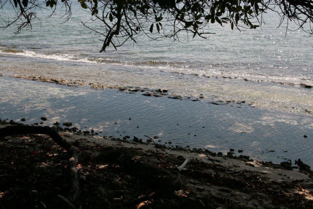 Keine Möglichkeit zum Schwimmen oder Schnorcheln Filitheyo Island Resort
