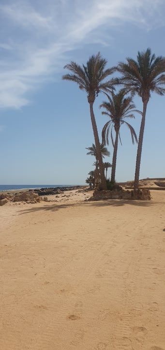 Strand Pickalbatros Citadel Resort