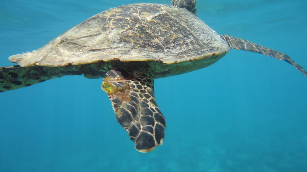 Sport & Freizeit Embudu Village