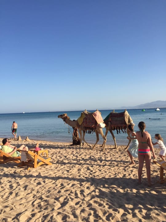 Wunderschöner Strand ROBINSON SOMA BAY