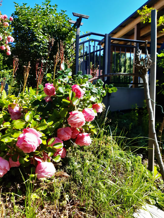 Außenansicht Hotel Schwengerer