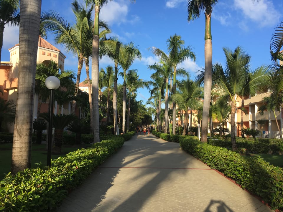 Gartenanlage Bahia Principe Grand Aquamarine